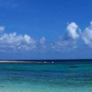 Meet your Posher, Karin